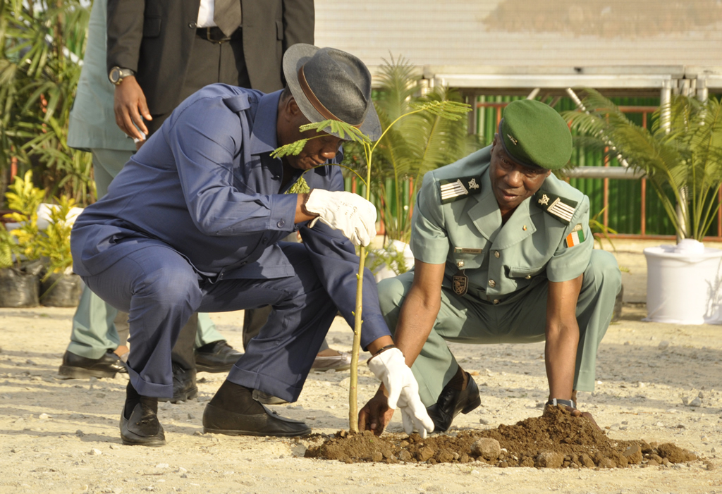 Dossier Prservation du patrimoine forestier : l'Agro-foresterie, une solution  la dforestation